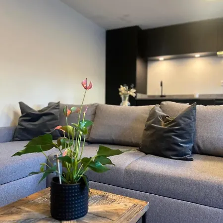 Cozy & Modern In *
