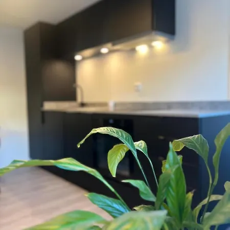 Cozy & Modern In Apartamento *